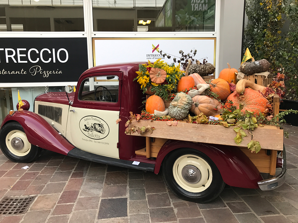 PADOVA AUTODEPOCA 2017 - foto di Giovanfranco di Giunta